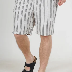 Jack & Jones Jaiden Enzo Stripe Resort Shorts Moonbeam